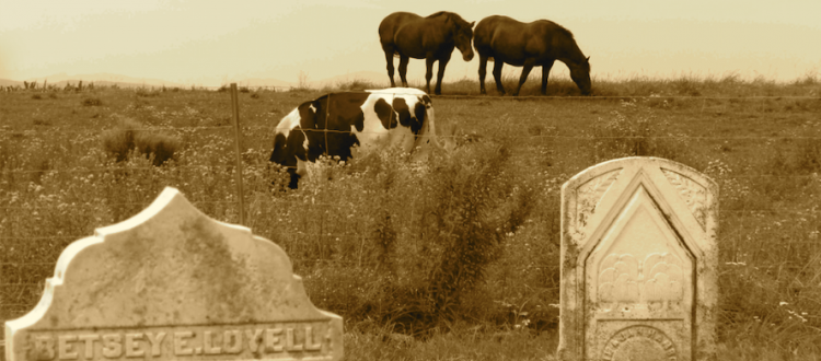 Voices from Another Time | The Lovell Cemetery