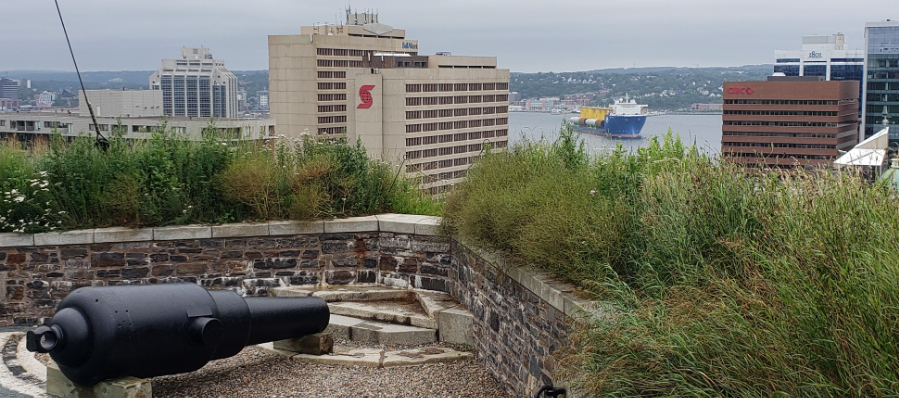 Voyage dans le temps à Halifax